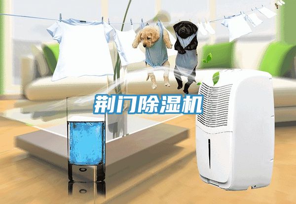 荆门小黄片直播视频