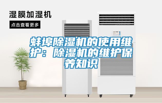 蚌埠小黄片直播视频的使用维护：小黄片直播视频的维护保养知识