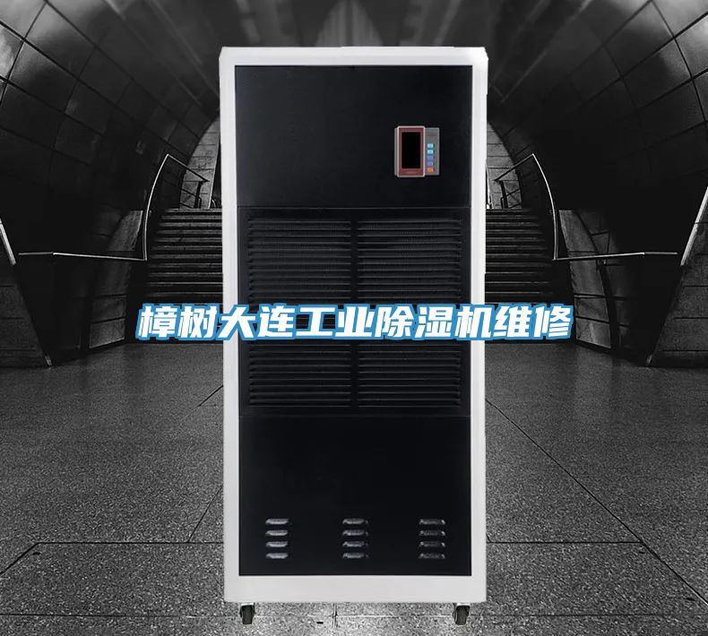 樟树大连工业小黄片直播视频维修