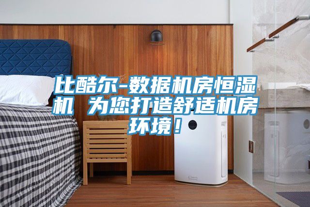 比酷尔-数据机房恒湿机 为您打造舒适机房环境！