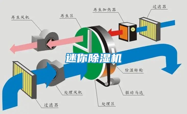 迷你小黄片直播视频