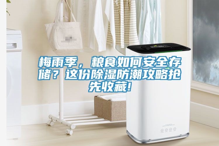梅雨季，粮食如何安全存储？这份除湿防潮攻略抢先收藏!