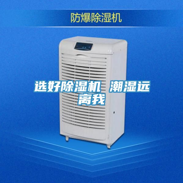 选好小黄片直播视频 潮湿远离我