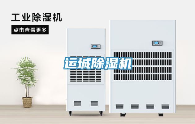 运城小黄片直播视频