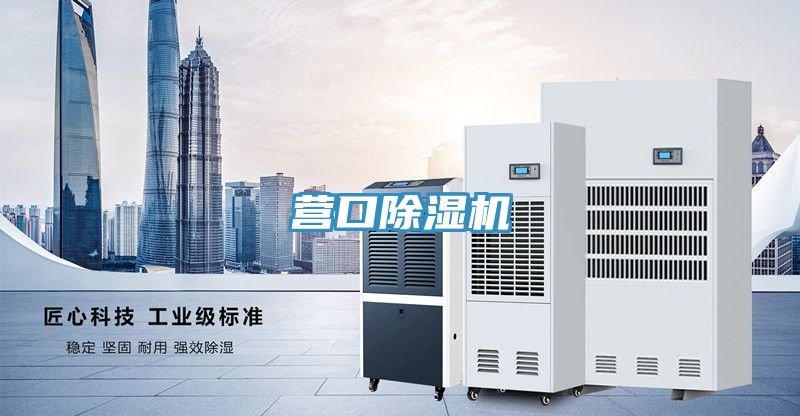 营口小黄片直播视频