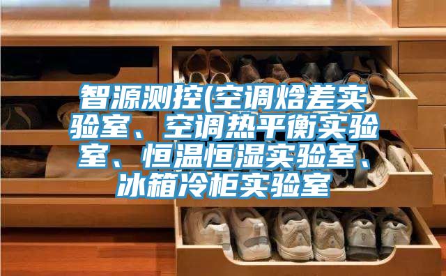 智源测控(空调焓差实验室、空调热平衡实验室、恒温恒湿实验室、冰箱冷柜实验室