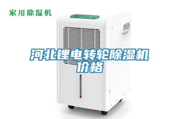 河北锂电转轮小黄片直播视频价格