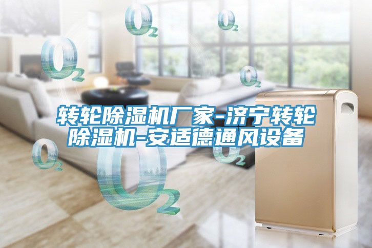 转轮小黄片直播视频厂家-济宁转轮小黄片直播视频-安适德通风设备