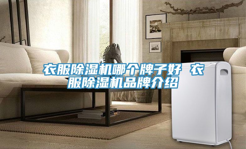 衣服小黄片直播视频哪个牌子好 衣服小黄片直播视频品牌介绍