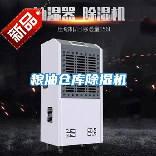 粮油仓库小黄片直播视频