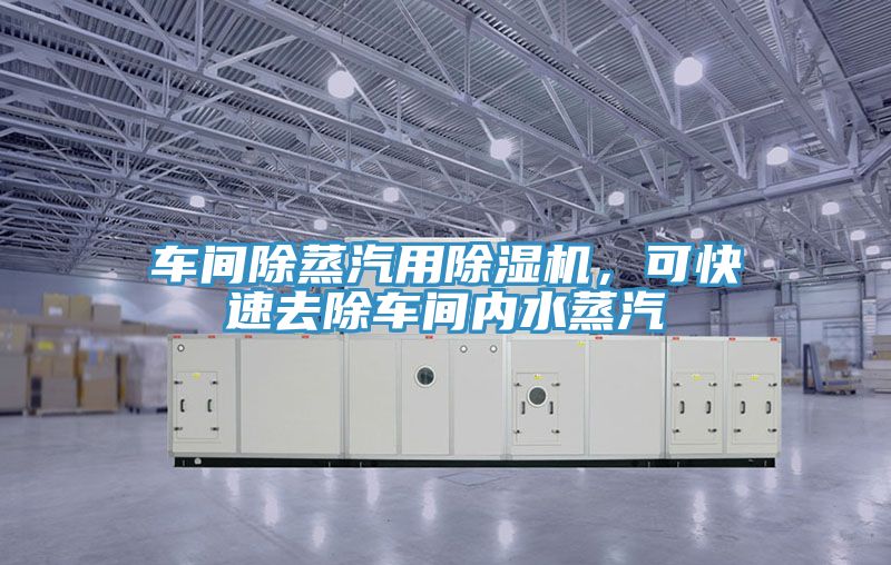车间除蒸汽用小黄片直播视频，可快速去除车间内水蒸汽