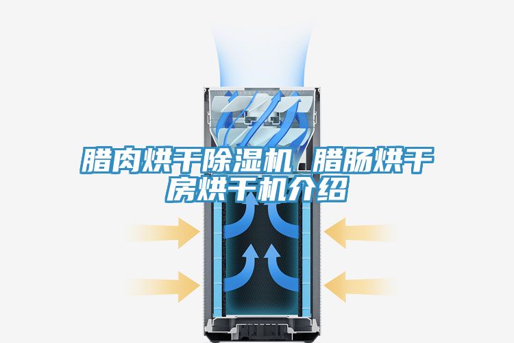 腊肉烘干小黄片直播视频 腊肠烘干房烘干机介绍
