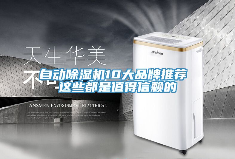 自动小黄片直播视频10大品牌推荐 这些都是值得信赖的