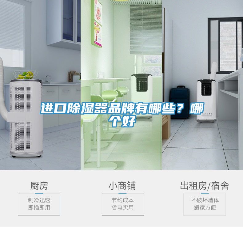 进口除湿器品牌有哪些？哪个好