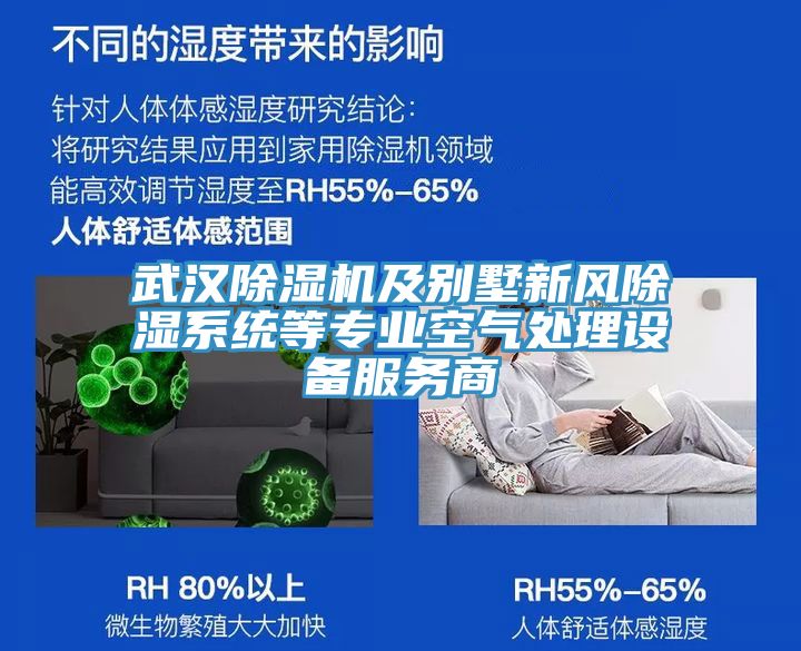 武汉小黄片直播视频及别墅新风除湿系统等专业空气处理设备服务商