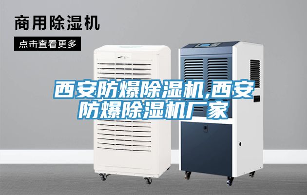西安防爆小黄片直播视频,西安防爆小黄片直播视频厂家
