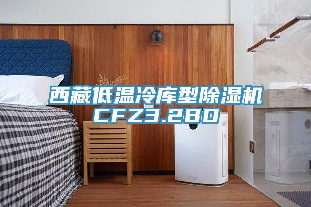 西藏低温冷库型小黄片直播视频CFZ3.2BD