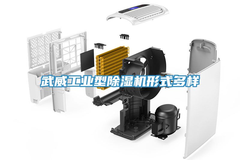 武威工业型小黄片直播视频形式多样