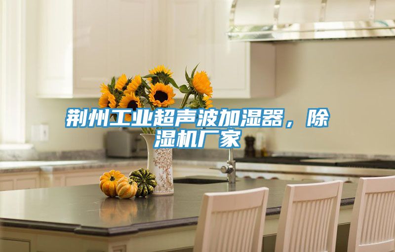 荆州工业超声波加湿器，小黄片直播视频厂家
