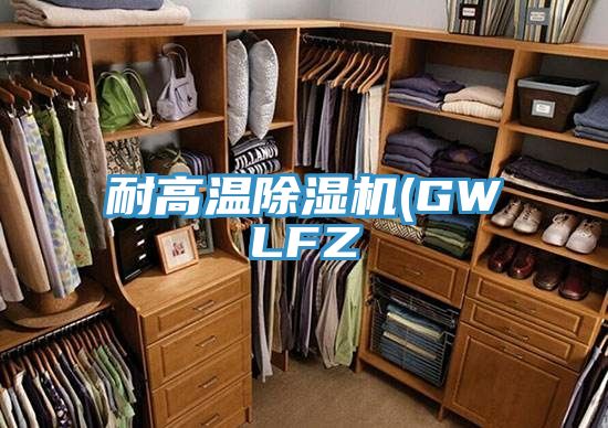 耐高温小黄片直播视频(GWLFZ