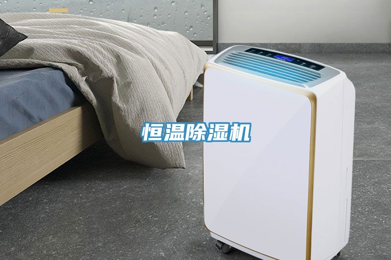 恒温小黄片直播视频
