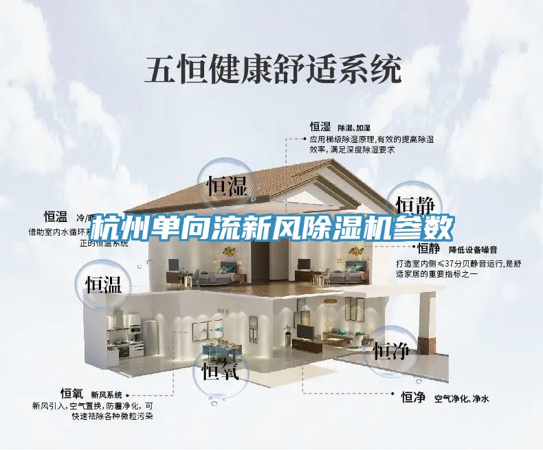 杭州单向流新风小黄片直播视频参数