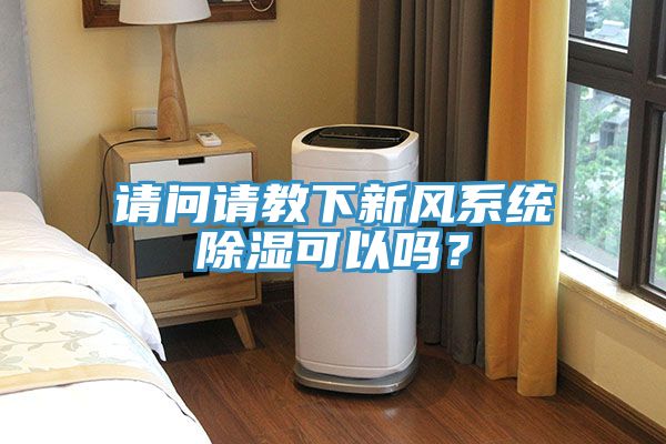 请问请教下新风系统除湿可以吗？
