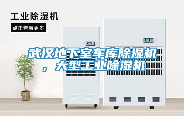 武汉地下室车库小黄片直播视频，大型工业小黄片直播视频