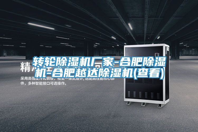 转轮小黄片直播视频厂家-合肥小黄片直播视频-合肥越达小黄片直播视频(查看)