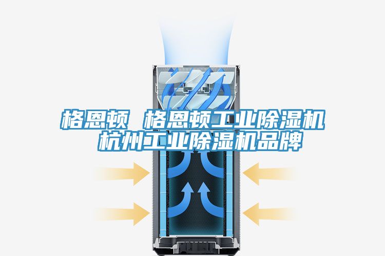 格恩顿 格恩顿工业小黄片直播视频 杭州工业小黄片直播视频品牌
