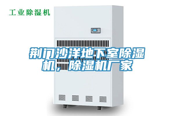 荆门沙洋地下室小黄片直播视频，小黄片直播视频厂家