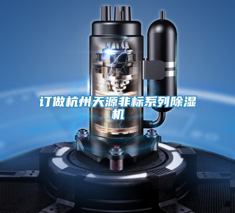 订做杭州天源非标系列小黄片直播视频