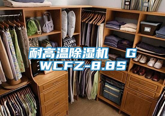 耐高温小黄片直播视频  GWCFZ-8.8S