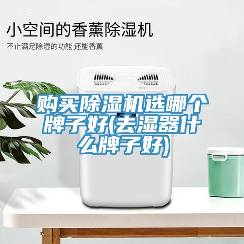 购买小黄片直播视频选哪个牌子好(去湿器什么牌子好)