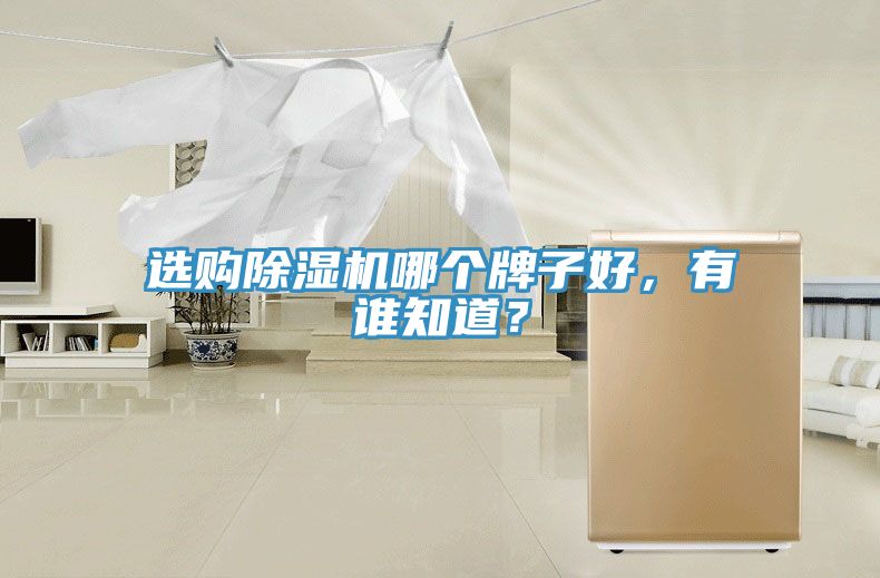 选购小黄片直播视频哪个牌子好，有谁知道？