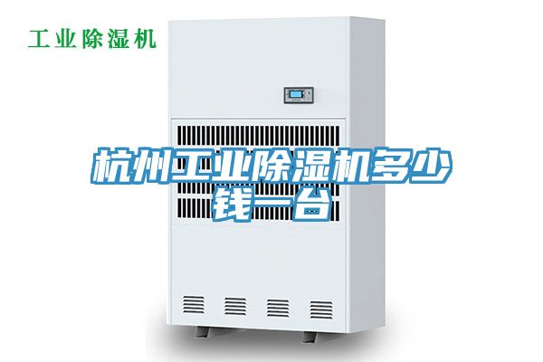 杭州工业小黄片直播视频多少钱一台