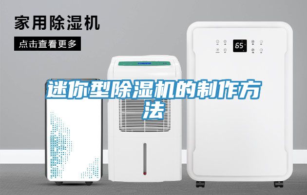 迷你型小黄片直播视频的制作方法