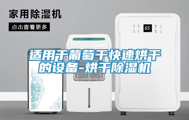适用于葡萄干快速烘干的设备-烘干小黄片直播视频