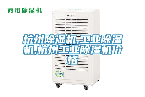杭州小黄片直播视频,工业小黄片直播视频,杭州工业小黄片直播视频价格