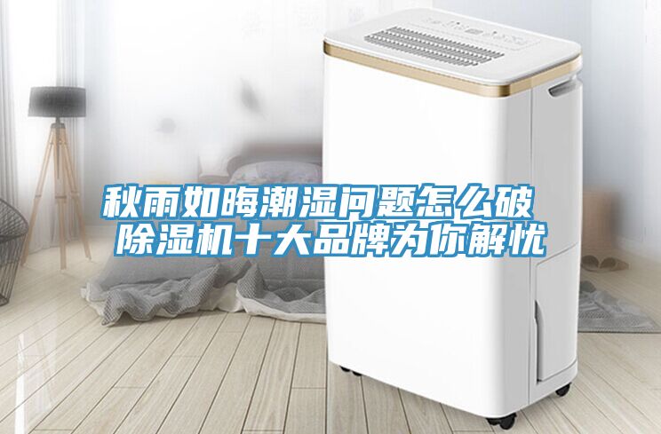 秋雨如晦潮湿问题怎么破 小黄片直播视频十大品牌为你解忧