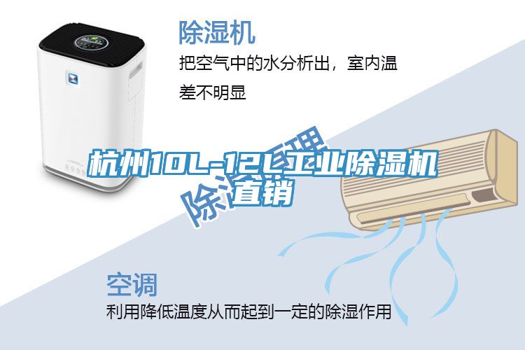 杭州10L-12L工业小黄片直播视频直销
