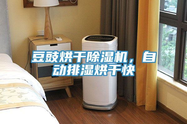 豆豉烘干小黄片直播视频，自动排湿烘干快