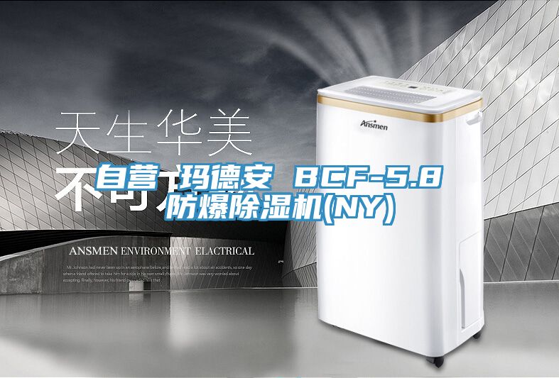 自营 玛德安 BCF-5.8 防爆小黄片直播视频(NY)