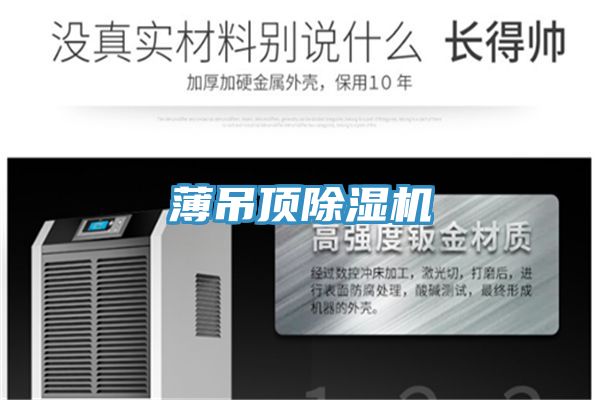 薄吊顶小黄片直播视频