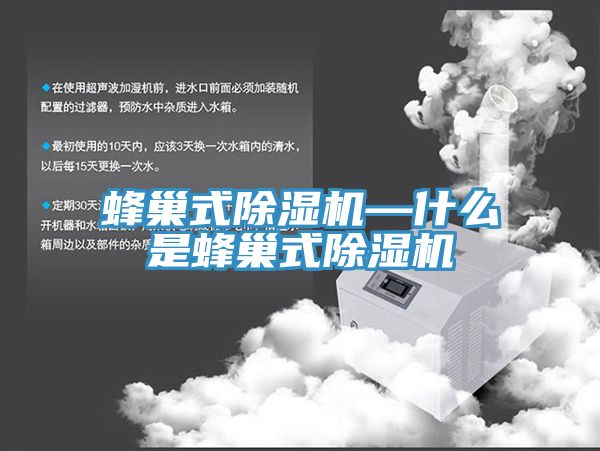 蜂巢式小黄片直播视频—什么是蜂巢式小黄片直播视频
