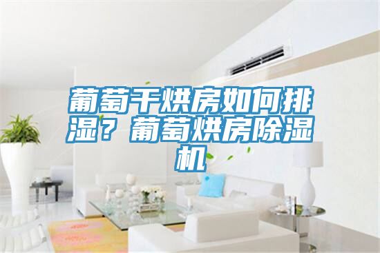 葡萄干烘房如何排湿？葡萄烘房小黄片直播视频