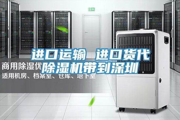 进口运输 进口货代小黄片直播视频带到深圳