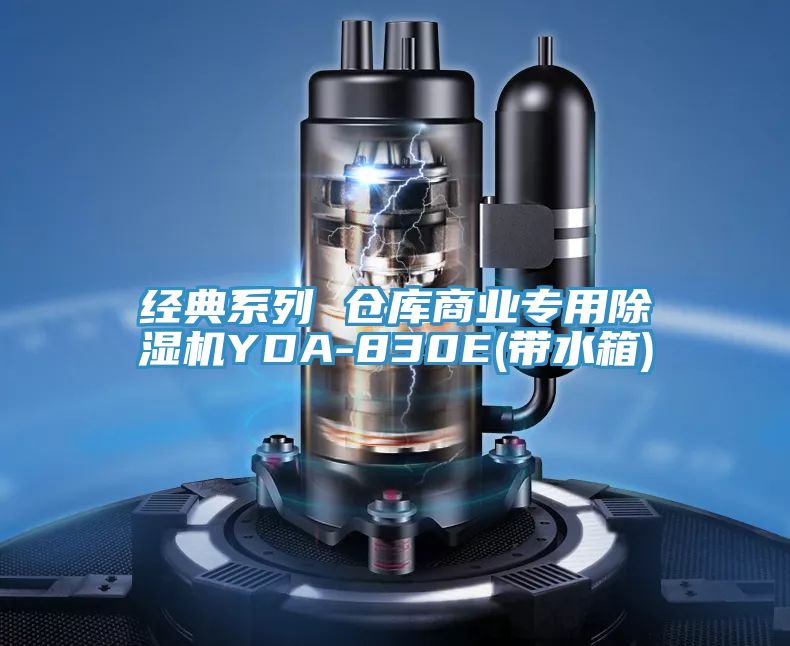 经典系列 仓库商业专用小黄片直播视频YDA-830E(带水箱)