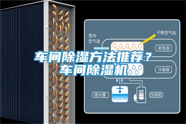 车间除湿方法推荐？车间小黄片直播视频