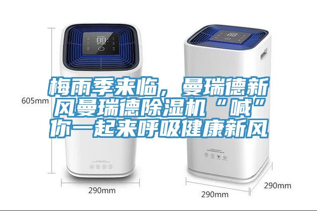 梅雨季来临，曼瑞德新风曼瑞德小黄片直播视频“喊”你一起来呼吸健康新风